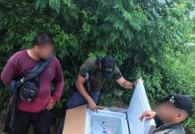 Quiso entrar a Salta con un freezer lleno de droga y fue detenido