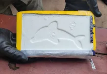 Narcotráfico en Salta: Detienen a un boliviano con cocaína en Orán