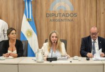 La salteña Gabriela Flores fue elegida presidente de la Comisión de Familia, Niñez y Juventudes