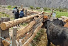 Optimismo de la Sociedad Rural de Salta por el acuerdo entre Estados Unidos y Argentina