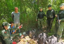 Gendarmería interceptó un cargamento de 61 kilos de cocaína en Salta