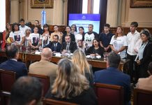 VIDEO| Senado: El salteño Gonzalo Guzmán presidirá la comisión de Justicia y Asuntos Penales