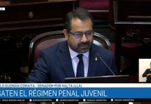 VIDEO| Guzmán le respondió a la kirchnerista Di Tullio: “Yo no canto sin papeles, señora senadora”