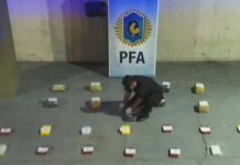 ¿Sigue operando el Clan Castedo? Secuestran droga en Salta con el sello del Delfín