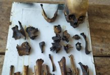 Macabro hallazgo en Salta: Investigan la identidad de restos óseos encontrados en una finca