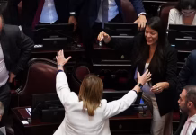 El Senado aprobó la Ley Penal Juvenil