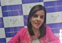 Domínguez, diputada de La Libertad Avanza: “Sáenz no le habló a la gente, le habló a la política”