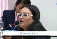 “No queremos ser un feudo”, León criticó la Ley de Lemas que el saencismo quiere para Salta