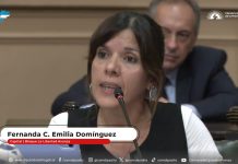 Domínguez reclama la reglamentación de la Ley de Pirotecnia Sonora Cero en Salta