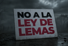 Día nefasto para la democracia en Salta: se aprobó la Ley de Lemas