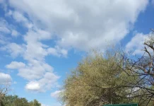VIDEO| Ciudad de Salta: El abandono de Durand y Sáenz se siente en La Troja
