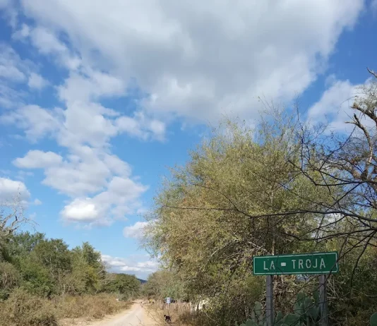 VIDEO| Ciudad de Salta: El abandono de Durand y Sáenz se siente en La Troja
