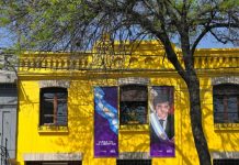 VIDEO| Salta: Fuerte rechazo de La Libertad Avanza a la Ley de Lemas