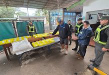 Camión boliviano ingresó a Salta con más de 100 kilos de cocaína