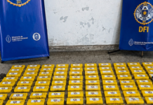 Secuestran más de 150 kilos de cocaína que iban de Salta a Córdoba
