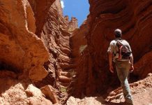 Fin de semana largo: Más de un millón de turistas y 235 mil millones el impacto económico en Argentina