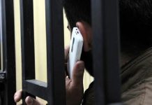 VIDEO| Sin dictamen: el saencismo frenó un proyecto de LLA para prohibir celulares en las cárceles