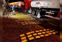 Golpe al narcotráfico: Gendarmería secuestró 400 kilos de cocaína provenientes de Bolivia